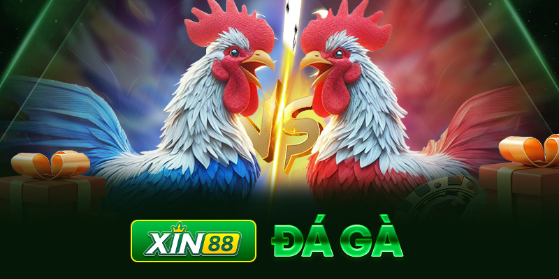 Khomuctv: Công nghệ thông tin, Quản lý dữ liệu và Phân tích dữ liệu